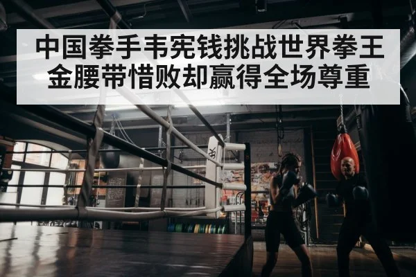 boxer training